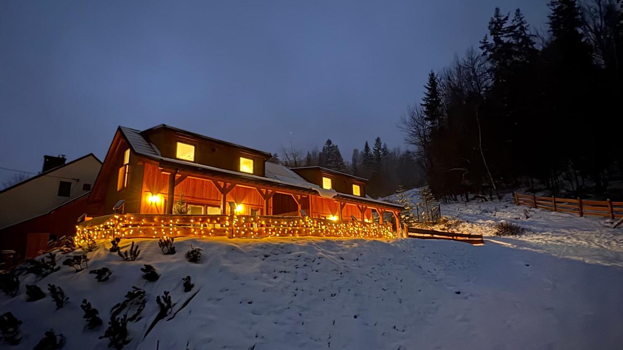 Gosciejowka Na Skraju Lasu Wisła Exterior foto