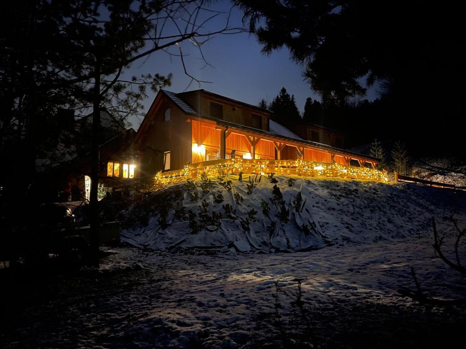 Gosciejowka Na Skraju Lasu Wisła Exterior foto
