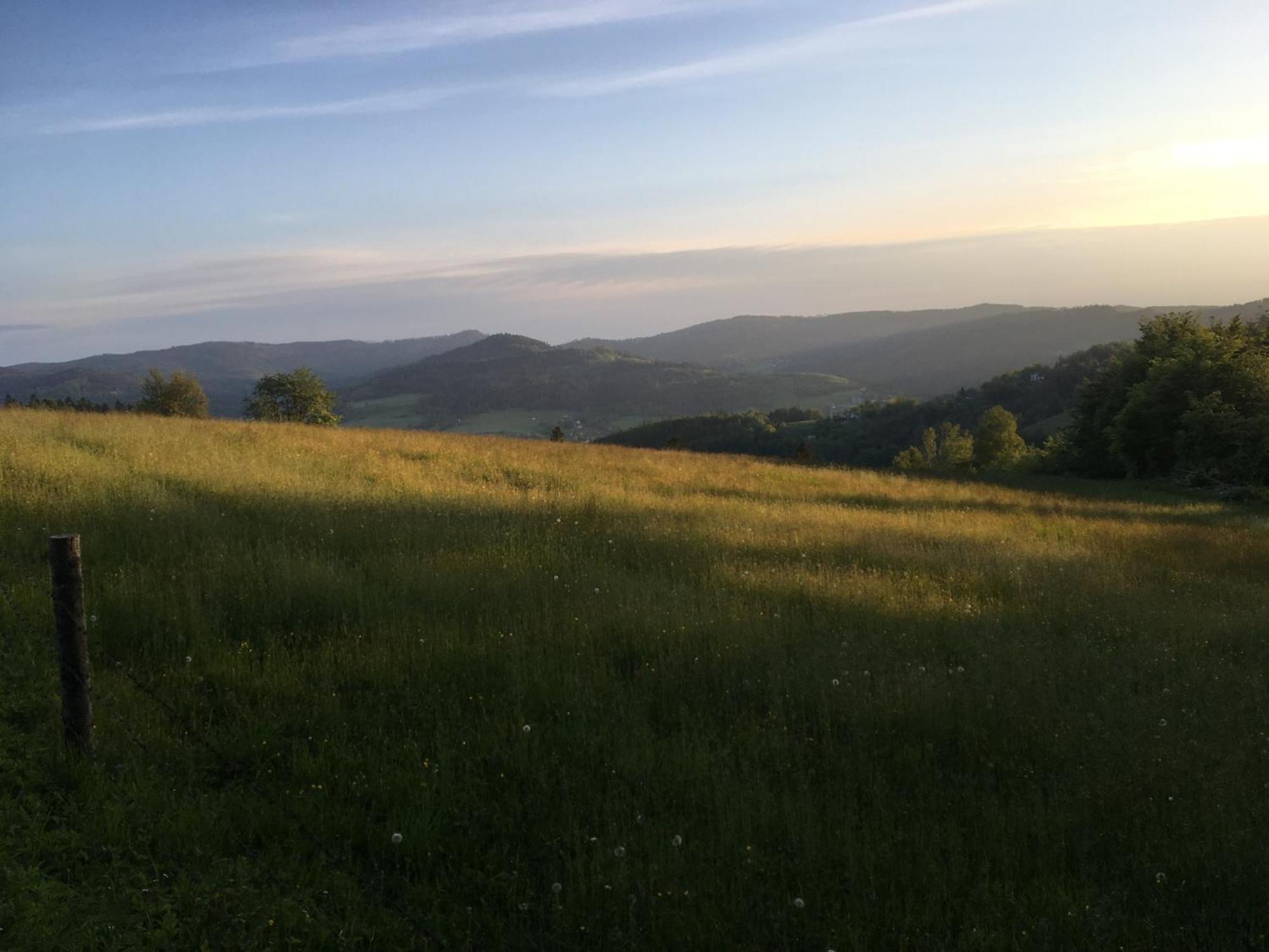 Gosciejowka Na Skraju Lasu Wisła Exterior foto